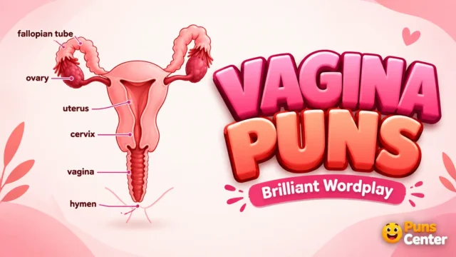 Vagina puns featured image with a reproductive system illustration and bold pink 3D typography.
